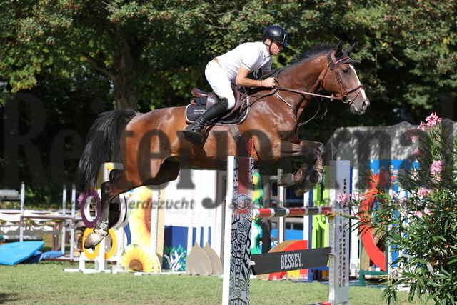 Bietigheim_2025_Prfg.Nr.17_Springpferdeprfg.Kl.L_Jan Müller_Diamonds are Forever Z (4) | Alle Fotos der Reiterjournal Fotografin Doris Matthaes im Reiterjournal Online-Fotoshop. - Realisiert mit Pictrs.com