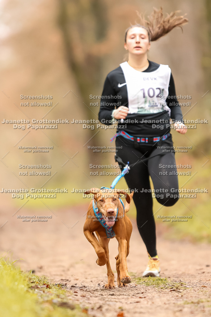 Dog Paparazzi - Speedhunter Mannheim  2025-127 | Dog Paparazzi Jeanette Grottendiek Fotografie & Videografie