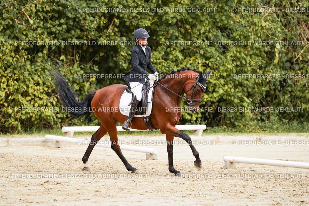 DSC09249 | Pferdegrafie