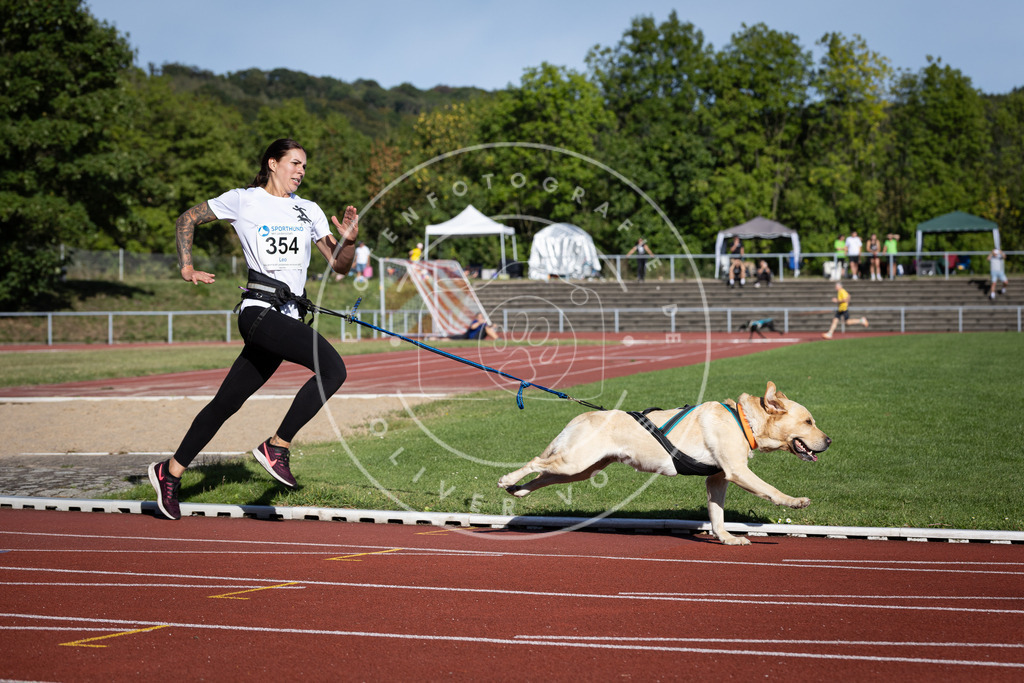 Pfotenfotografie_DV3A9878 | Hundefotografie, Tierfotograf, Pfotenfotografie, Fotoshooting Hund, Hunde Portrait, Hundesport, Hundeportraits, Heideshooting, Hunde, Sportfotograf, Hundefotograf, Turnierhundsport, THS,  - Realisiert mit Pictrs.com