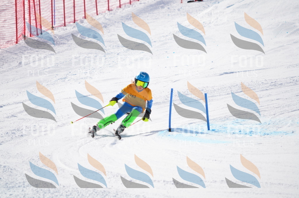 C8400 | holidayphoto