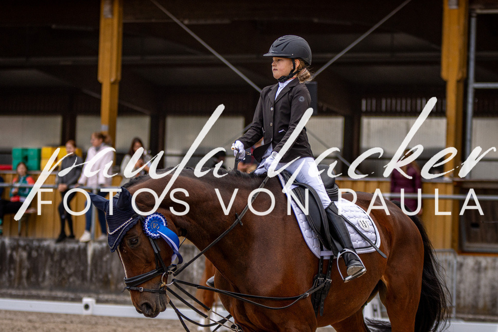 IMG_3633 | Erleben Sie dynamische Sport- und emotionale Tierfotografie in Süddeutschland mit Fotos von Paula. Spezialisiert auf Pferde- und Hundefotografie sowie Sportevents. Kontaktieren Sie mich für einzigartige und ausdrucksstarke Bilder Ihrer besonderen Momente. - Realisiert mit Pictrs.com
