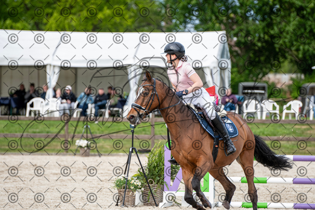 KPT_7216 | andre_photographic