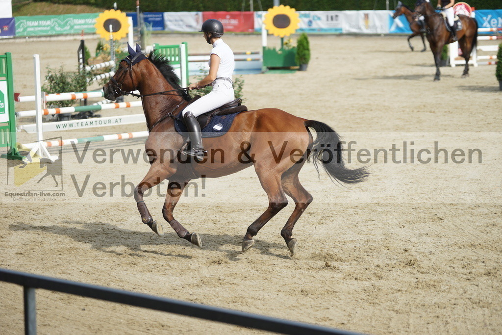 DSC05365 | equestrian-live-com