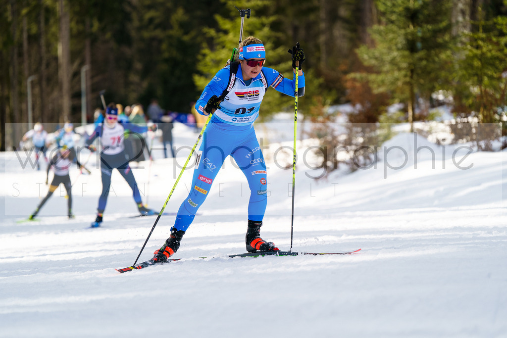 FESA Alpencup / DP Notschrei | Deutschland Pokal Finale im Schwarzwald NORDIC-CENTER Notschrei am 7. - 8. Februar 2026