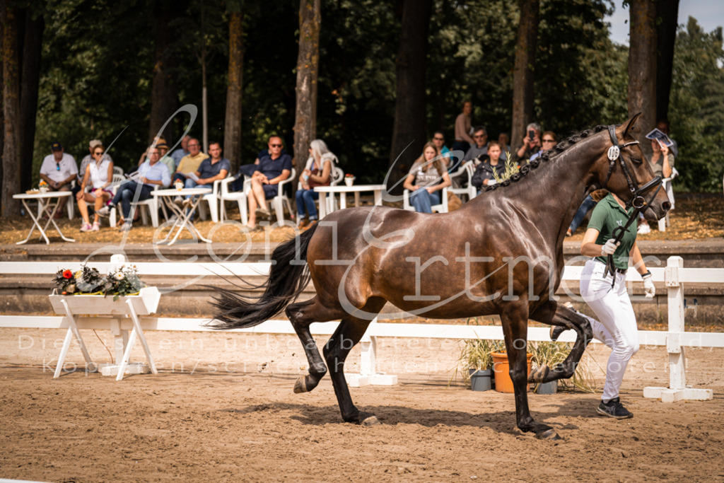 3.Fr00019 | Leoni Ertmer Photography - Realisiert mit Pictrs.com