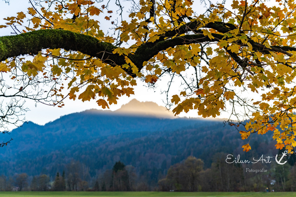 20241102-EAF_5551 | Eilun-Art-Fotografie Levke Martens, ihre Fotografin für Immobilien- und Landschaftsfotografie auf Föhr, Föhrer Motive als Poster, Leinwand, hinter Acrylglas oder stelle dir deinen eigenen Monatskalender zusammen, mit nur einem Klick