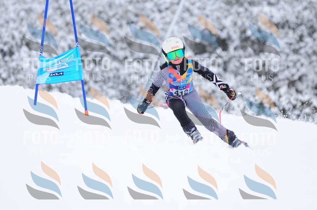 C4330 | holidayphoto