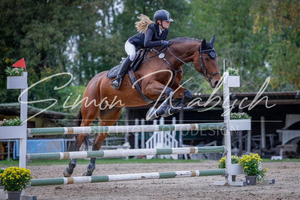 20251012-_3LI5177 | Tierfotografie Pferde, Hunde, Katzen, Haustiere.
Turnierfotografie Reitturniere, Reiten, Springreiten, Dressur in Hanau, dem Main-Kinzig-Kreis und dem Rhein-Main- Gebiet um Frankfurt