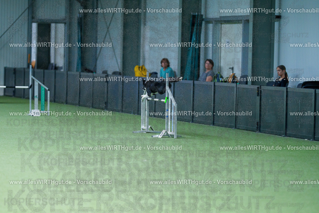 @allesWIRTHgut_Tierfotografie - www.allesWIRTHgut.de - 2604261136-7R509938 | Professionelle Tierfotografie in Mönchengladbach von Daniel Wirth (allesWIRTHgut). Liebevolle & natürliche Bilder von Hunden & Katzen für unvergessliche Erinnerungen.