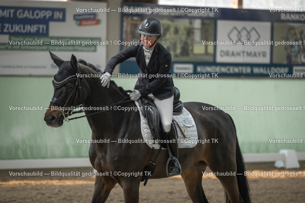 _D5A4108 | Emotionale Pferde- & People-Fotografie rund um Heidelberg, Leimen & Umgebung. Natürliche Fotos von Pferd, Mensch & Familie. Jetzt Termin sichern!