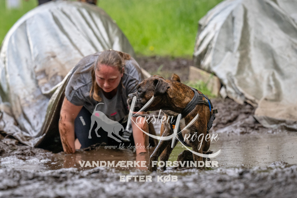 1538_ZZ94569 | kk-dogfotos