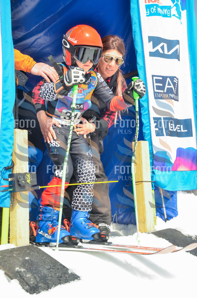 _ELE6753 | holidayphoto