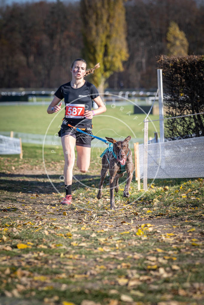 CaniXpix_DV3A9168 | Hundefotografie, Tierfotograf, Pfotenfotografie, Fotoshooting Hund, Hunde Portrait, Hundesport, Hundeportraits, Heideshooting, Hunde, Sportfotograf, Hundefotograf, Turnierhundsport, THS,  - Realisiert mit Pictrs.com