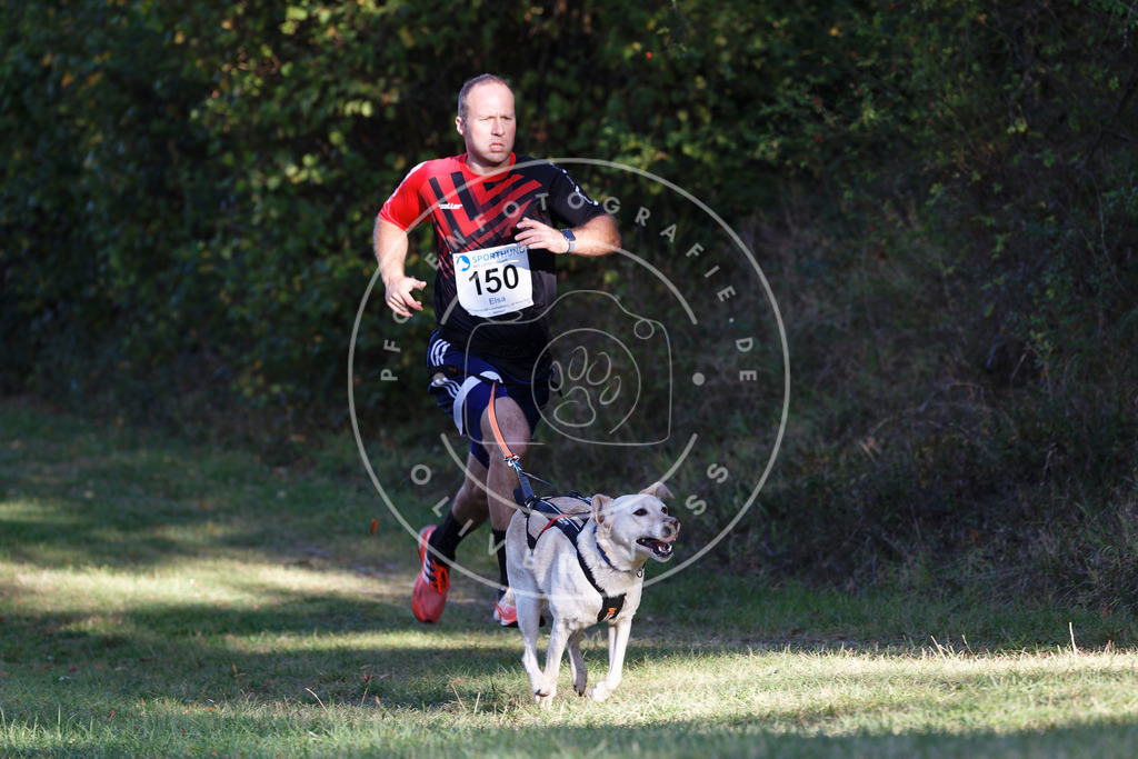 0L8A4993 | Hundefotografie, Tierfotograf, Pfotenfotografie, Fotoshooting Hund, Hunde Portrait, Hundesport, Hundeportraits, Heideshooting, Hunde, Sportfotograf, Hundefotograf, Turnierhundsport, THS,  - Realisiert mit Pictrs.com