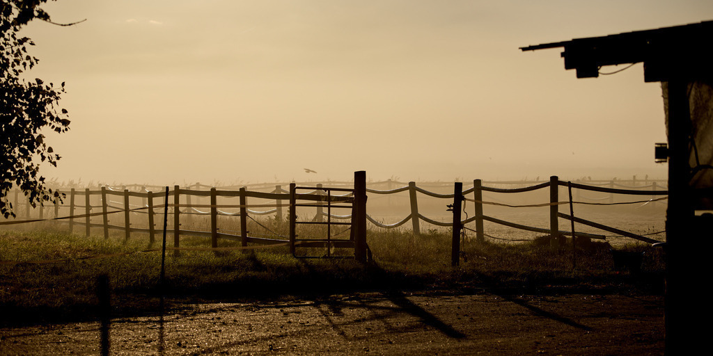 Nebel 2 | kleinen-fotografie