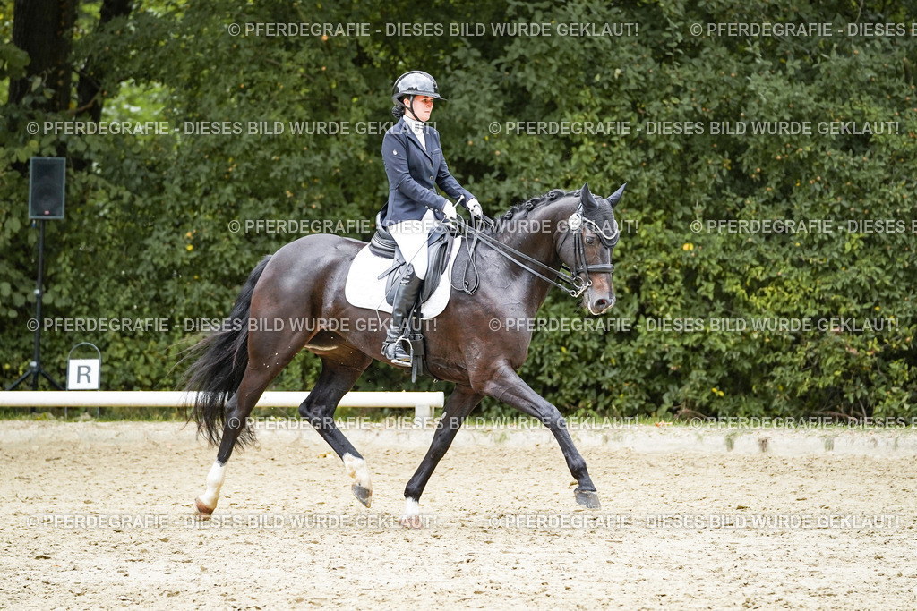 DSC07036 | Pferdegrafie