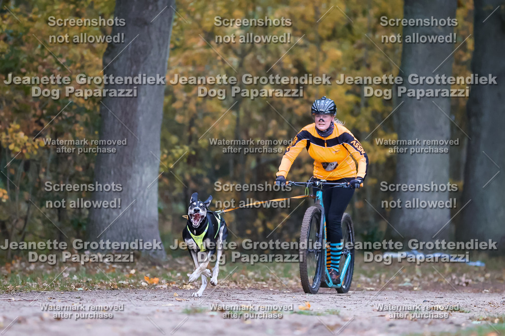 Dog Paparazzi - SD CaniX Championship 2025-17 | Dog Paparazzi Jeanette Grottendiek Fotografie & Videografie - Realisiert mit Pictrs.com