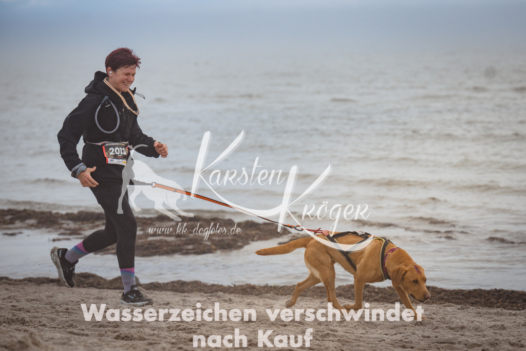 1148_ZZ91543 | kk-dogfotos