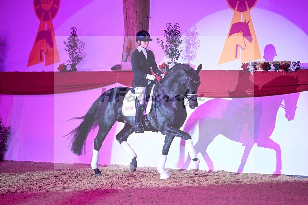 Dream Royal_1235122 | hf-fotografie - Realisiert mit Pictrs.com