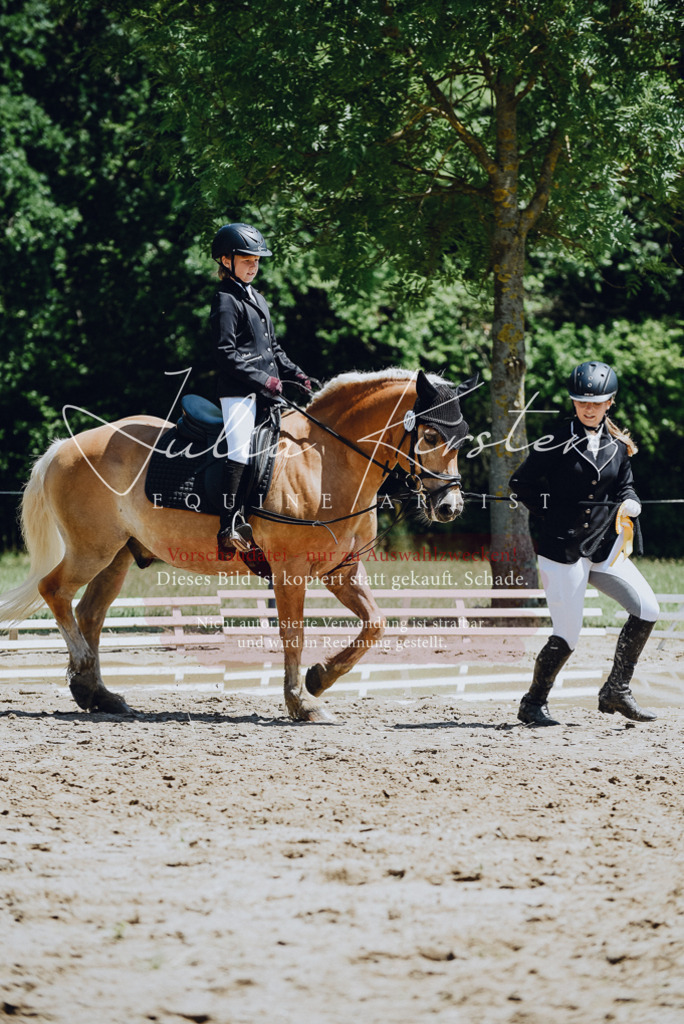 DSC_2347 | Pferde- und Turnierfotografie in Westsachsen. Pferdeportraits, Auftragszeichnungen und intuitive Kunst.