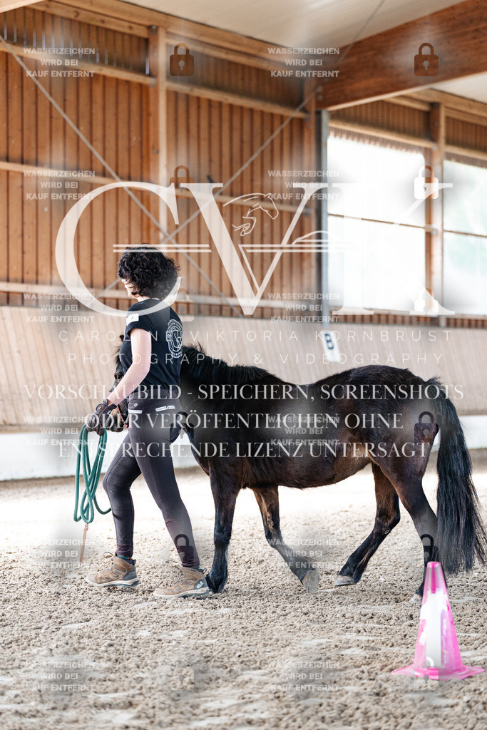 CK905181 | Turnierfotografie Pferdefotografie Trier Rheinland-Pfalz Pferdesport Reitsport Tierfotografie Sportfotografie Pferdevideo Pferdevideografie Equestrianvideography equestrianphotography  - Realisiert mit Pictrs.com