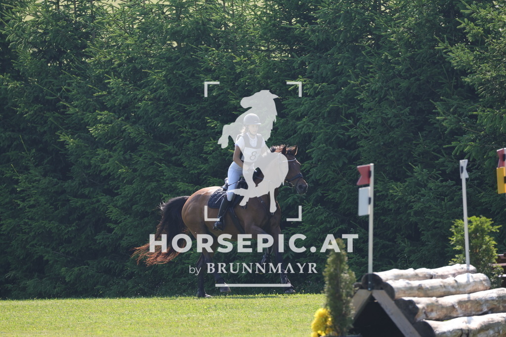 0P6A7412 | Willkommen bei Brunnmayr - Design & Fotografie – Ihrem Spezialisten für Reitturniere und Pferdeveranstaltungen in Oberösterreich, Salzburg und Bayern! Seit über 17 Jahren sind wir leidenschaftlich dabei.
