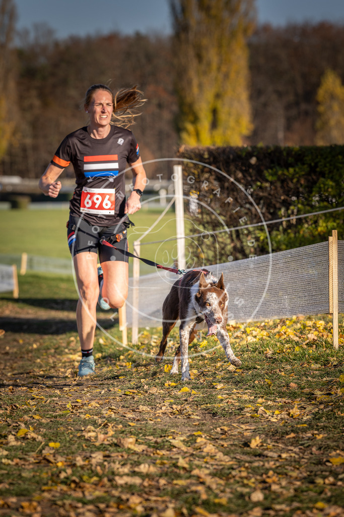 CaniXpix_DV3A1419 | Hundefotografie, Tierfotograf, Pfotenfotografie, Fotoshooting Hund, Hunde Portrait, Hundesport, Hundeportraits, Heideshooting, Hunde, Sportfotograf, Hundefotograf, Turnierhundsport, THS,  - Realisiert mit Pictrs.com