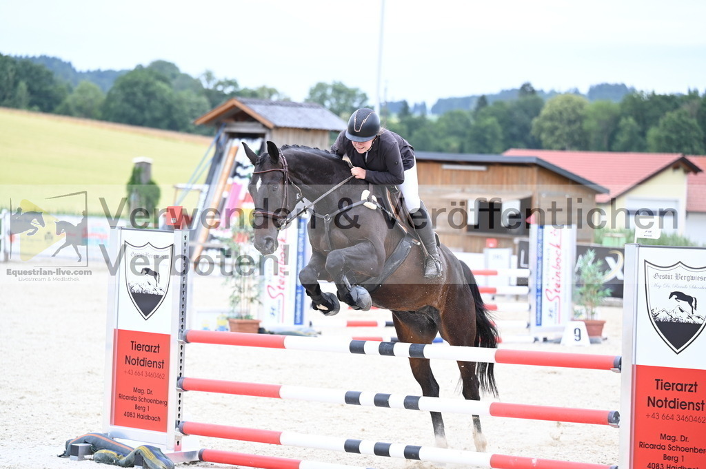 DSC_4463 | equestrian-live-com