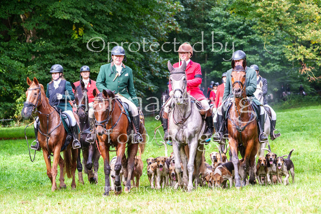 Jagd Perdoel 26 Sony-04165_MarinaHewig | Fotografie, FotoArt, PferdesportArt, Pferdesportfotografie, Landschaftsfotografie, Reisefotografie, Reise, Pferde - Realisiert mit Pictrs.com
