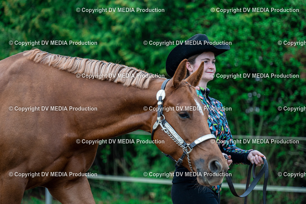 BA300078 | dv-media-shop - Realisiert mit Pictrs.com