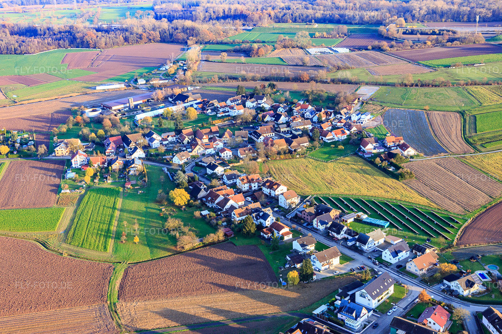 Luftbild: Eichhofstr im Ortsteil Sand in Willstätt im Bundesland Baden-Württemberg in Deutschland. Foto: IMG_119999.jpg vom 30.11.2019 durch Werner Riehm/FLY-FOTO.de