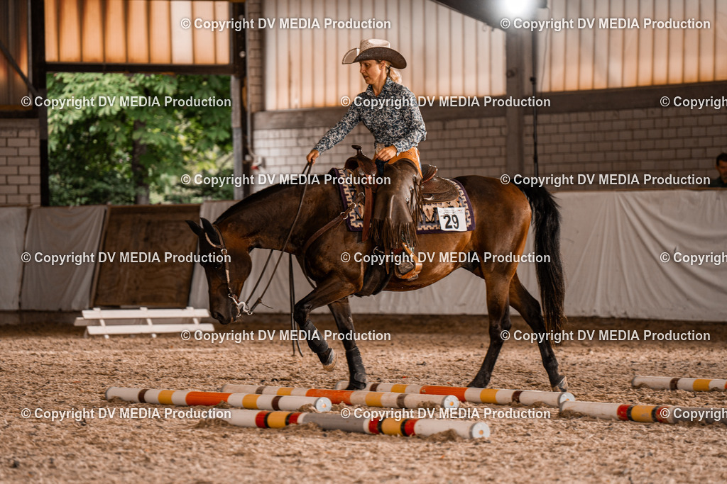 ZH300358 | dv-media-shop - Realisiert mit Pictrs.com