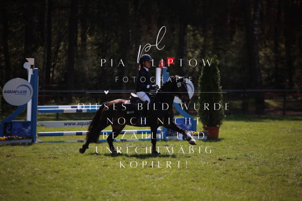 IMGT5687 | pl-fotografie