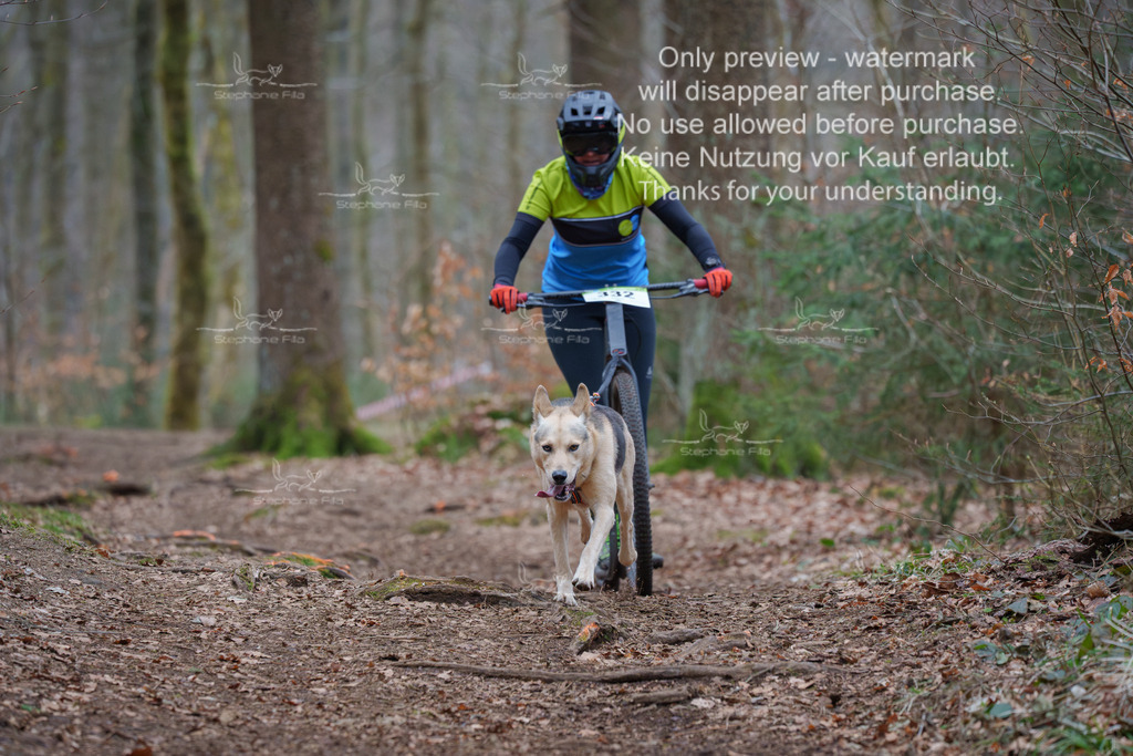 Scooter_So-111 | stephaniefillaphotographie - Realisiert mit Pictrs.com