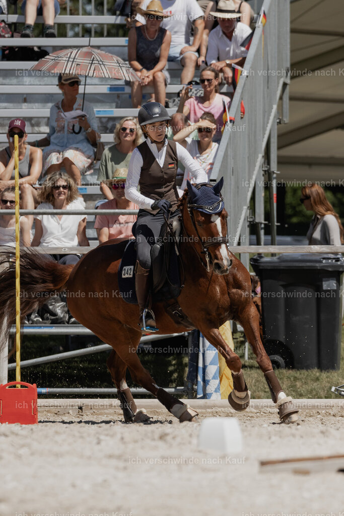 WE_SP_Stoib_342_PI2025_1823 | Pferd International München 2025