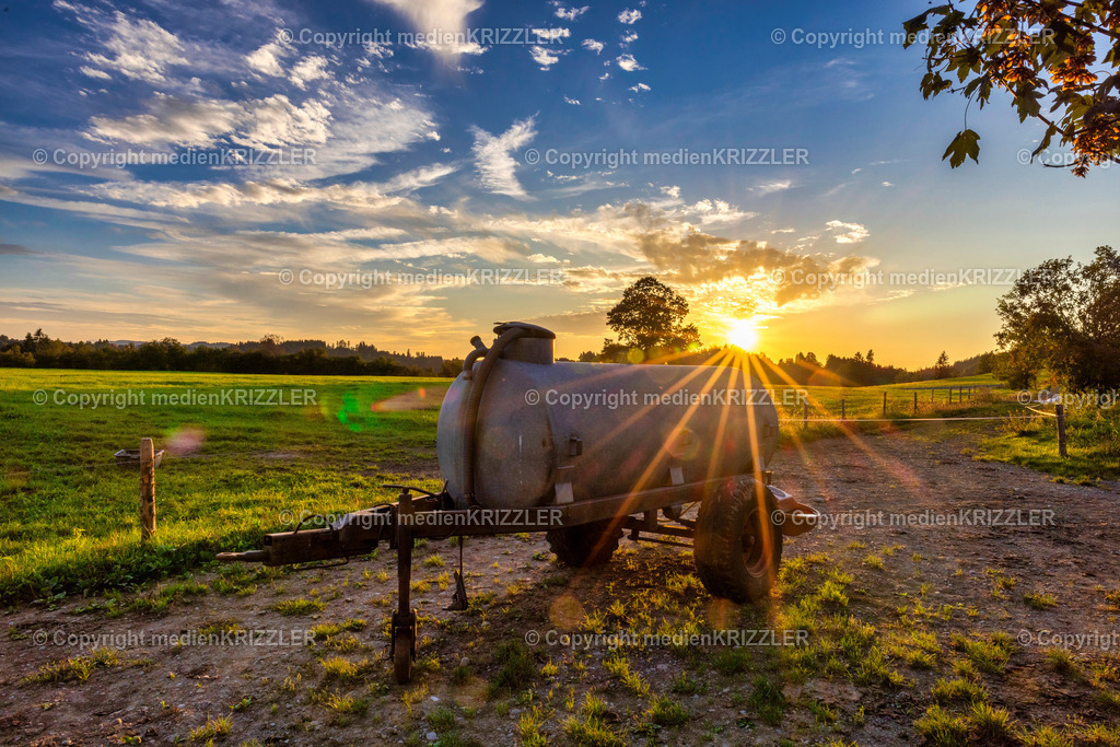 _J3A2724 | medienkrizzler - Realisiert mit Pictrs.com