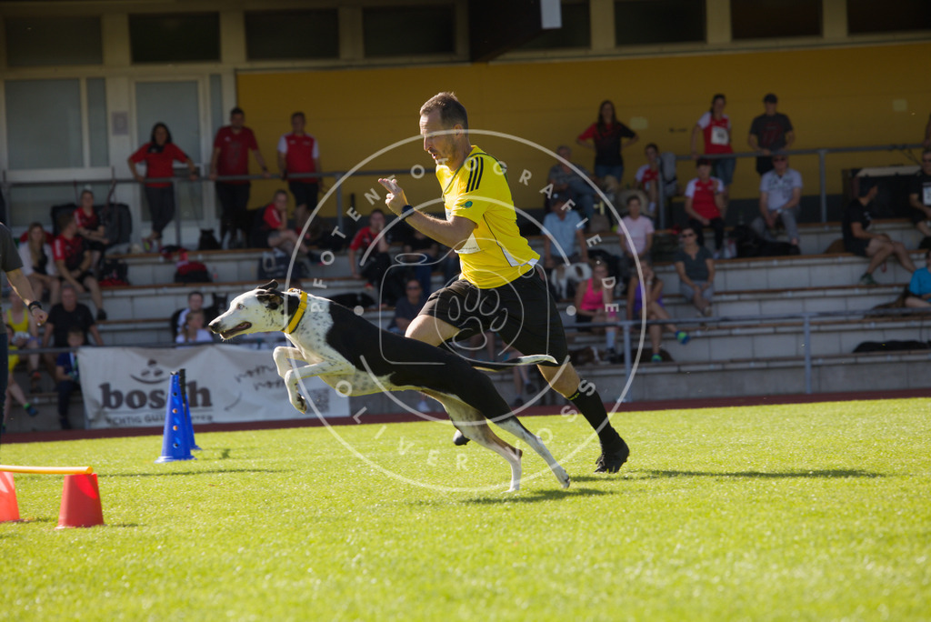 0L8A8497 | Hundefotografie, Tierfotograf, Pfotenfotografie, Fotoshooting Hund, Hunde Portrait, Hundesport, Hundeportraits, Heideshooting, Hunde, Sportfotograf, Hundefotograf, Turnierhundsport, THS,  - Realisiert mit Pictrs.com