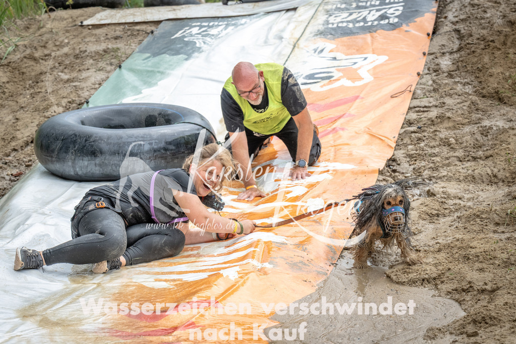1558_ZZ99607 | kk-dogfotos