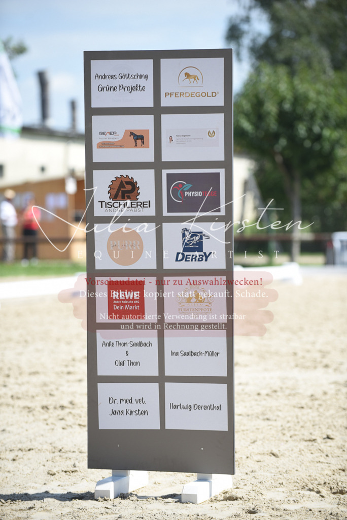 DSC_8770 | Pferde- und Turnierfotografie in Westsachsen. Pferdeportraits, Auftragszeichnungen und intuitive Kunst.