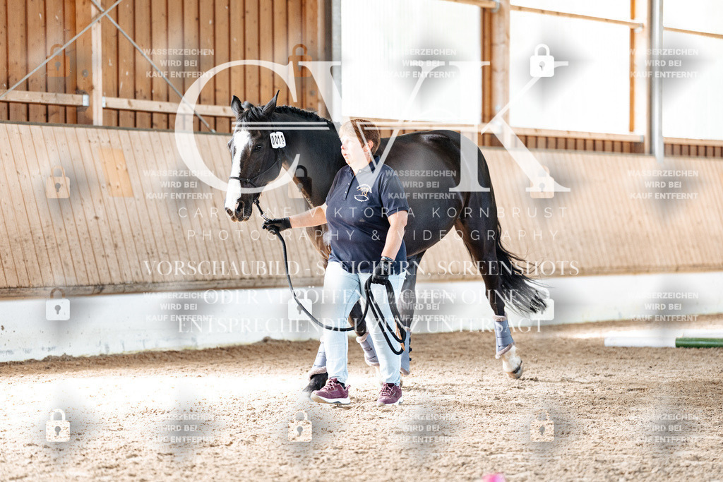 CK906236 | Turnierfotografie Pferdefotografie Trier Rheinland-Pfalz Pferdesport Reitsport Tierfotografie Sportfotografie Pferdevideo Pferdevideografie Equestrianvideography equestrianphotography  - Realisiert mit Pictrs.com