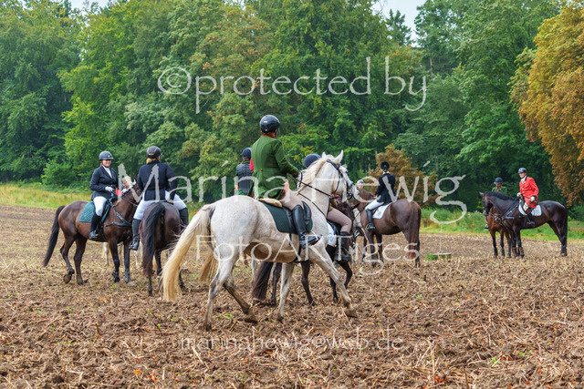 Jagd Kletkamp 26-03109_MarinaHewig | Fotografie, FotoArt, PferdesportArt, Pferdesportfotografie, Landschaftsfotografie, Reisefotografie, Reise, Pferde - Realisiert mit Pictrs.com