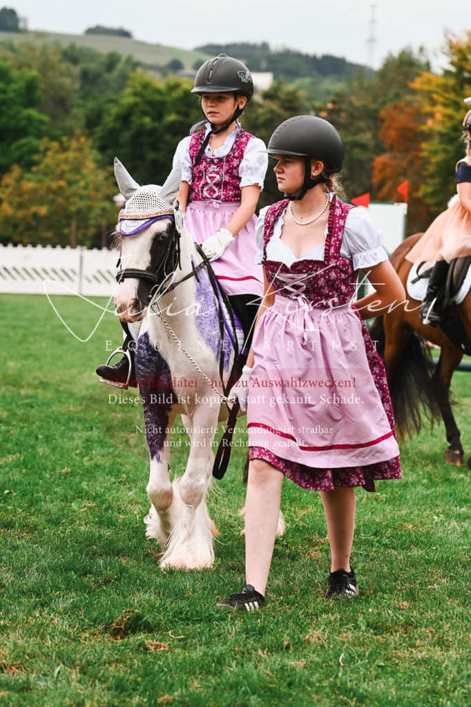 DSC_7319 | Pferde- und Turnierfotografie in Westsachsen. Pferdeportraits, Auftragszeichnungen und intuitive Kunst.