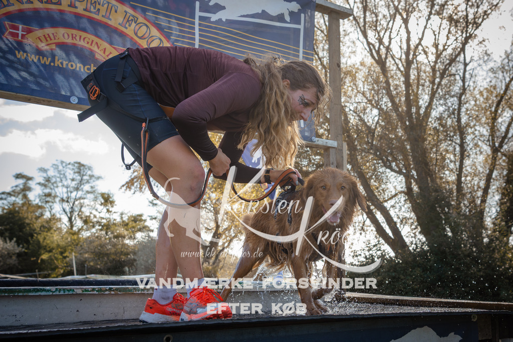 1218_ZZ95319 | kk-dogfotos