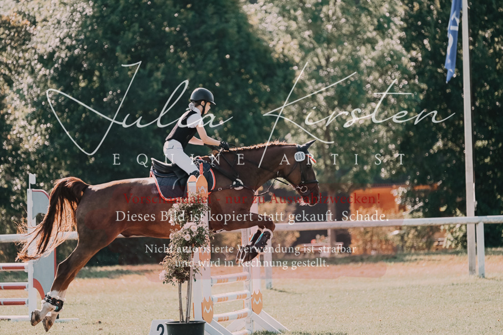 DSC_4860 | Pferde- und Turnierfotografie in Westsachsen. Pferdeportraits, Auftragszeichnungen und intuitive Kunst.