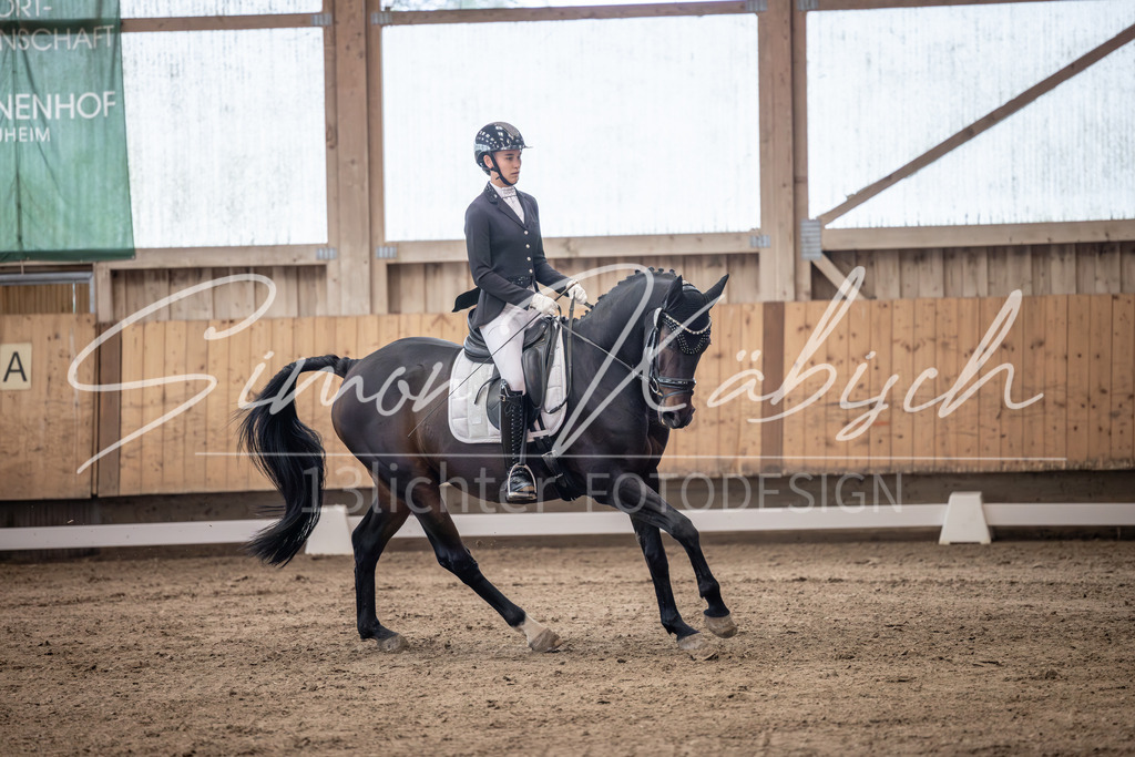 20251011-_3LI9975 | Tierfotografie Pferde, Hunde, Katzen, Haustiere.
Turnierfotografie Reitturniere, Reiten, Springreiten, Dressur in Hanau, dem Main-Kinzig-Kreis und dem Rhein-Main- Gebiet um Frankfurt