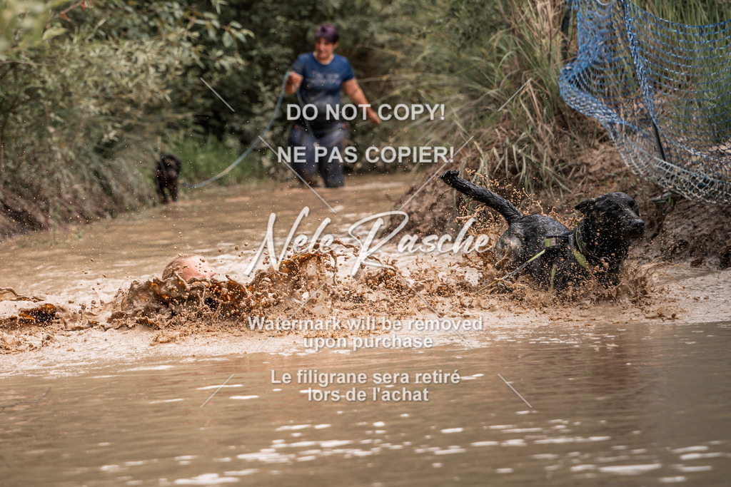 nelerasche_Hoope2026_So1400-1430_06 | nelerasche