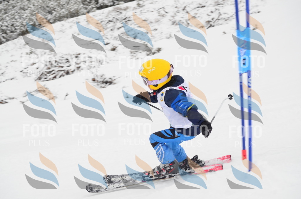 C0508 | holidayphoto