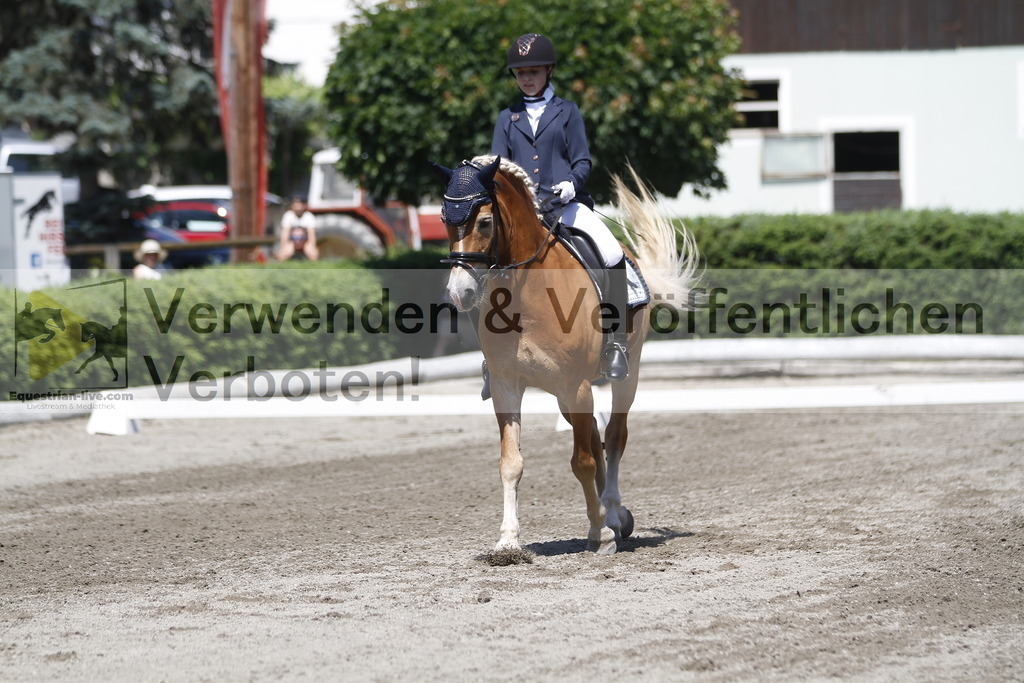 _MG_3871 | equestrian-live-com
