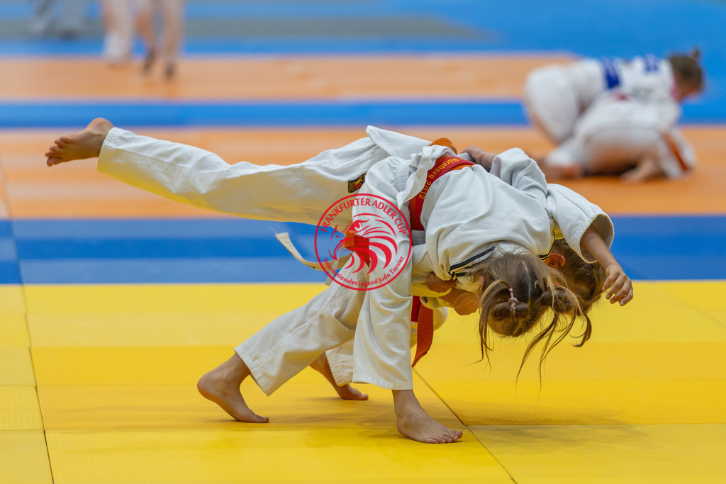 Internationaler Adler Cup 2024 | Foto vom Internationalen Adler Cup Judo Turnier im Sport- und Freizeitzentrum Kalbach im Oktober 2024 - Realisiert mit Pictrs.com
